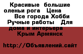 Красивые  большие оленьи рога › Цена ­ 3 000 - Все города Хобби. Ручные работы » Для дома и интерьера   . Крым,Армянск